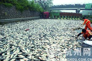 　杭金衢高速昨晨封道