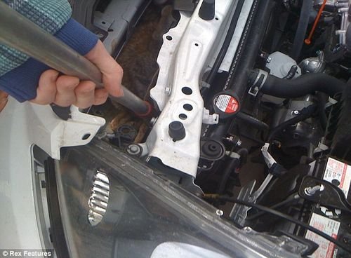 小狼被撞留车内 行驶800多公里后竟幸存 汽车之家