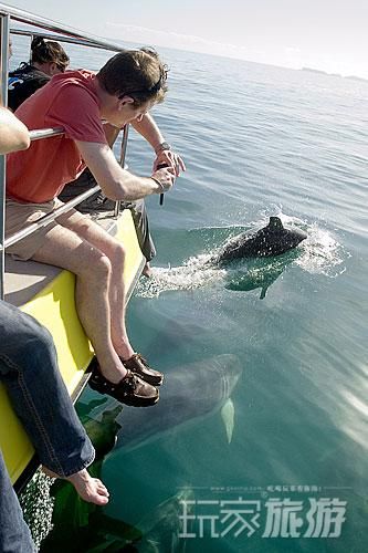 纯净新西兰 体验自然之美