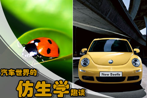 汽车世界的仿生学