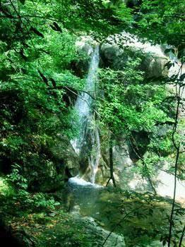 肖坑大峡谷