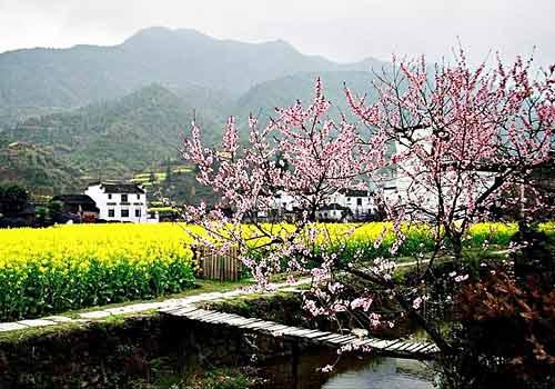 常德桃花源
