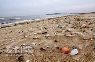 去葫芦岛看海—LAND CRUISER 200短假行