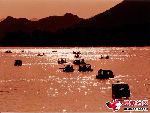 雁栖湖落日
