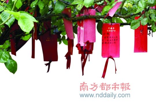 新春祈福游